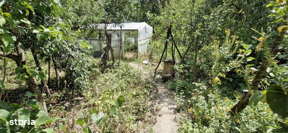 Casa si teren 3000 mp Naipu Giurgiu