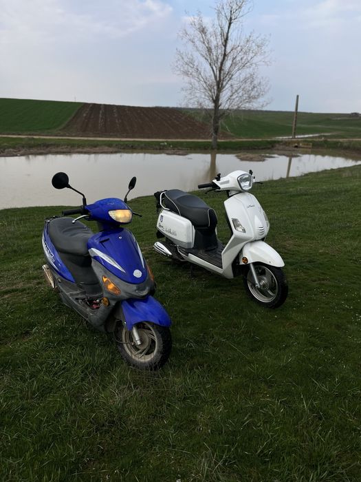 vand scuter gy6(cel albastru)