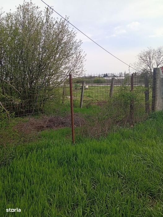 Teren intravilan mixt Buftea – Corbeanca MEGAOCAZIE | 2527 mp | Ideal