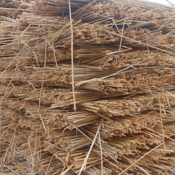 Қамыс Камышы Маты