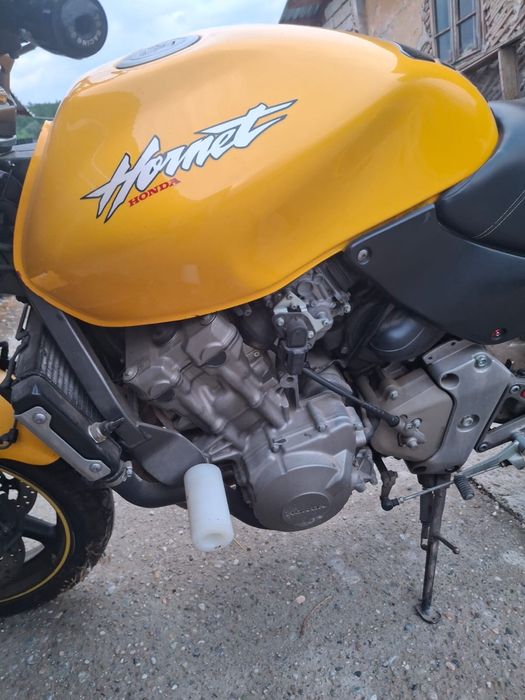 Honda Hornet