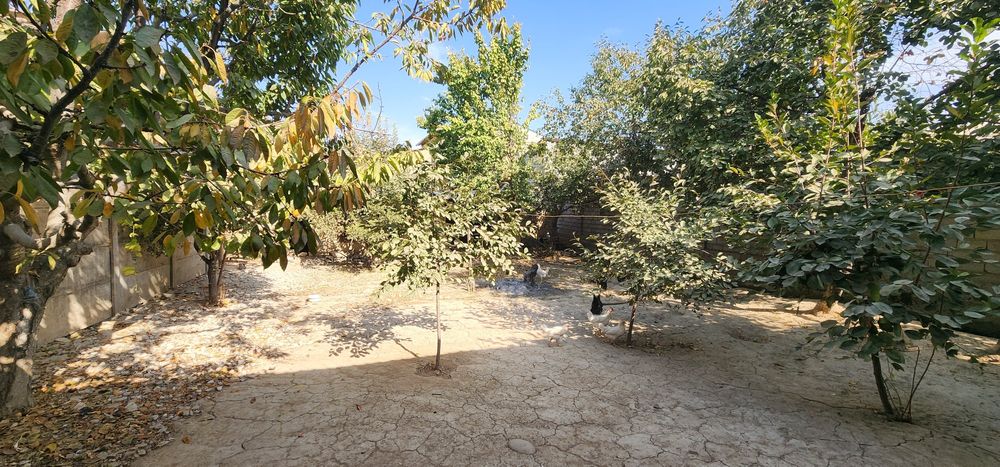 Хасанбой 1км от Пост Гаи место отличная 8соток фасад 20м 6комнатная