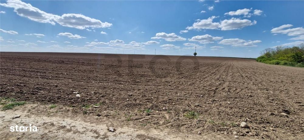 RECO Teren extravilan in Oradea 13000mp