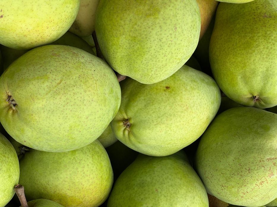 Vind mere Polonia calitatea extra