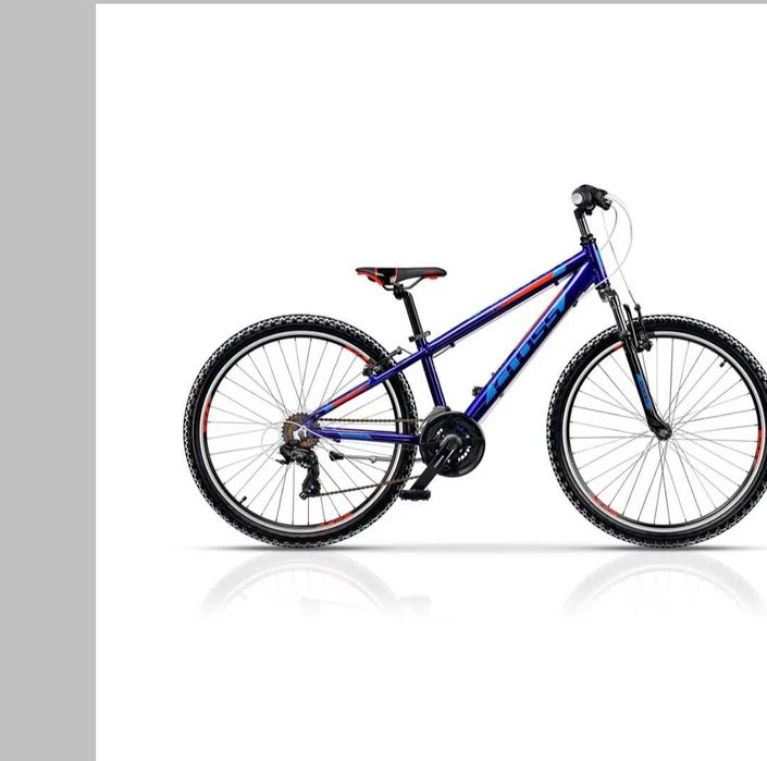 Biciclete Junior Cross Speedster