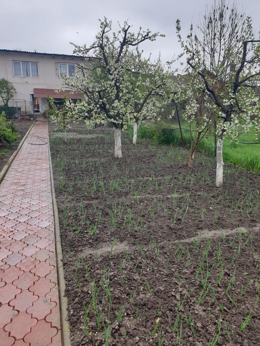 Casã de vânzare cu grădină