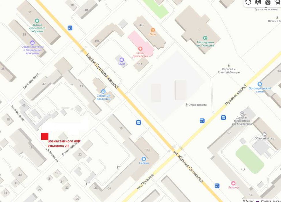 цветы хризантемы и флоксы