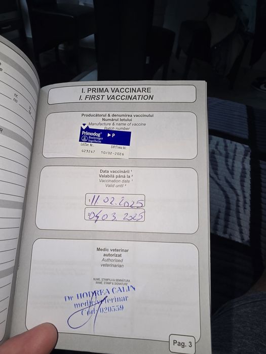 Donez ciobanesc mioritic