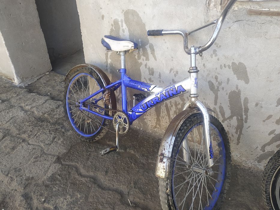 Velik ikkita xolati yaxshi kelishiladi