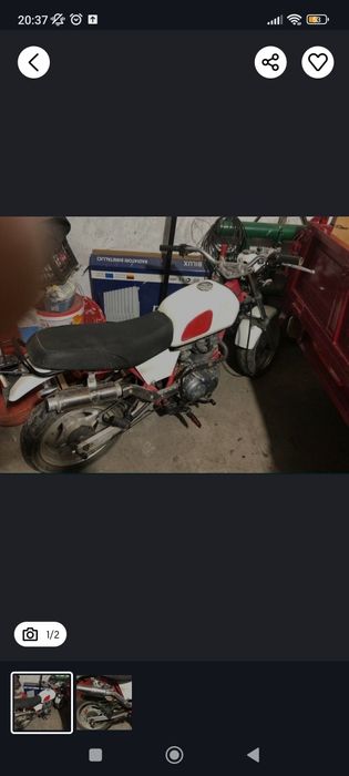 Хонда кобра  Скай Тим