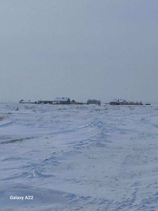 Продаеться действующее К/Х