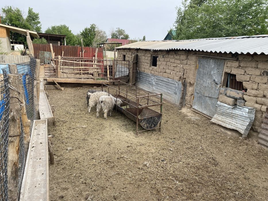 Уй Сатылады 15 Соти