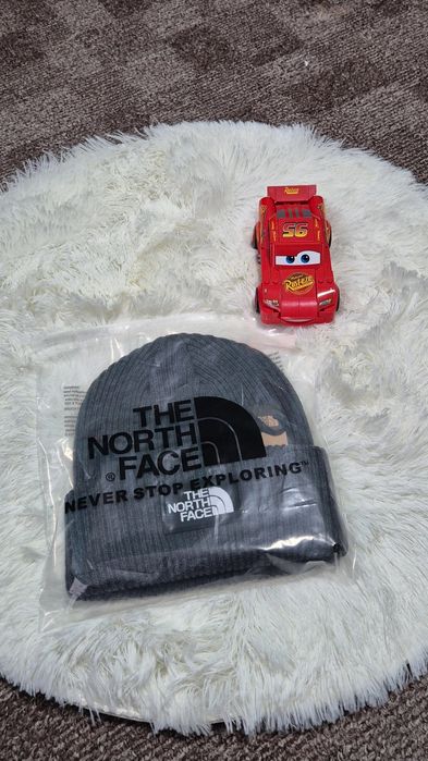 Caciula The North Face gri
