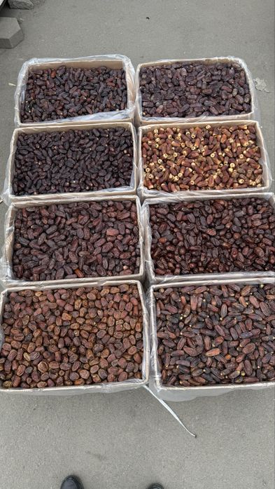 Финики, Саудия, Рамадан!