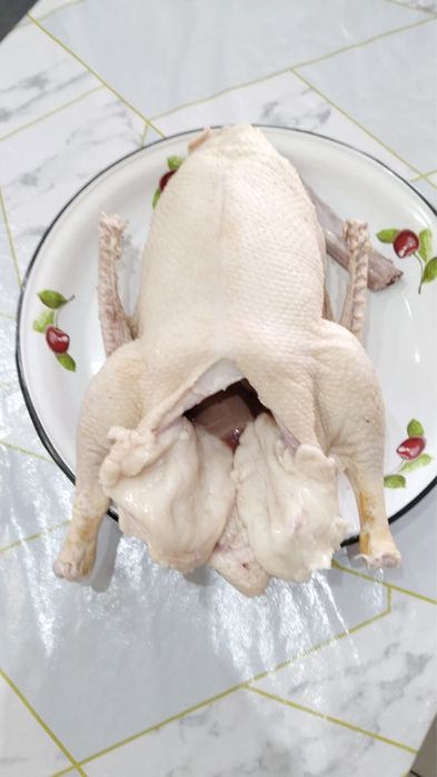 В продаже домашние гуси