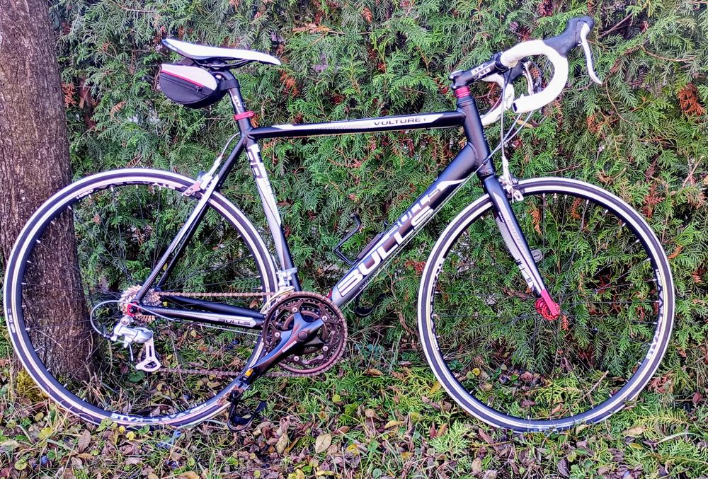 Cursiera Bulls Vulture 1