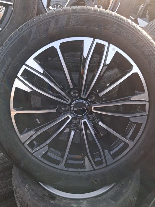 18 buvaydiga arginal diska balon