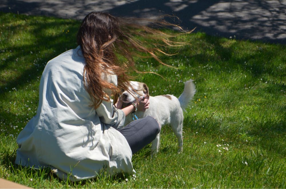 pet sitter (pisici, caini, reptile, rozatoare, pesti), plimbat caini