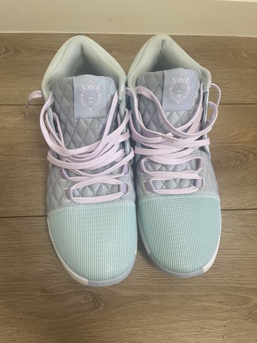 Adidasi Nike LeBron Witness 8 basketball