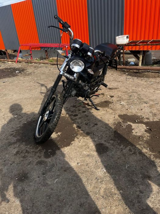 продам альфа гс срочно