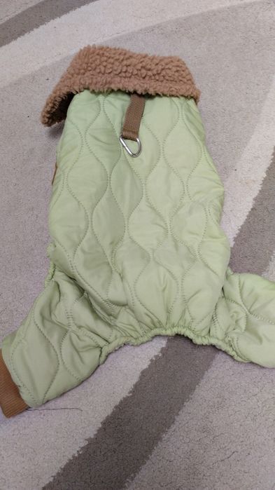 Hainute de cățel moderne