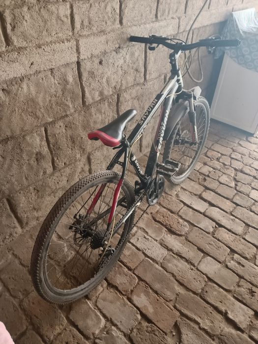 Velosiped sayvan