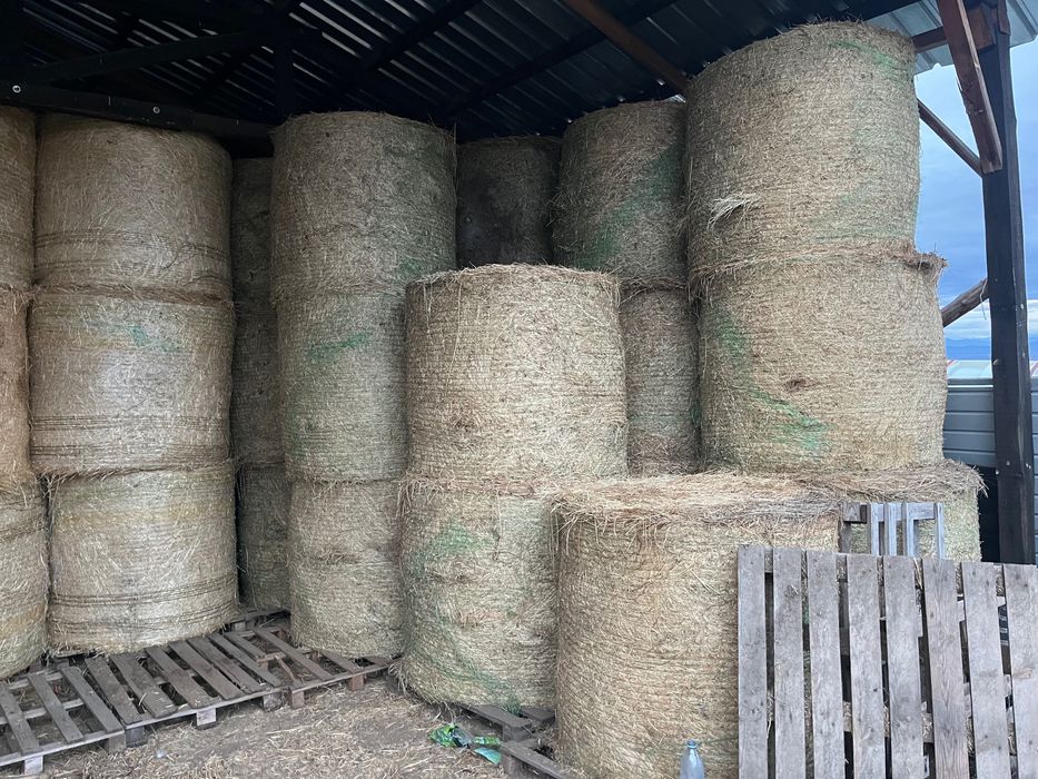 Бали люцерна и слама