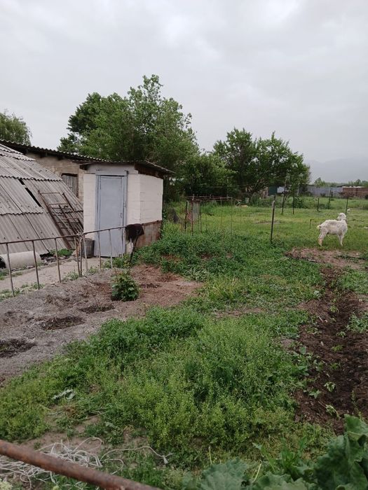 продам дом на 10 сотках