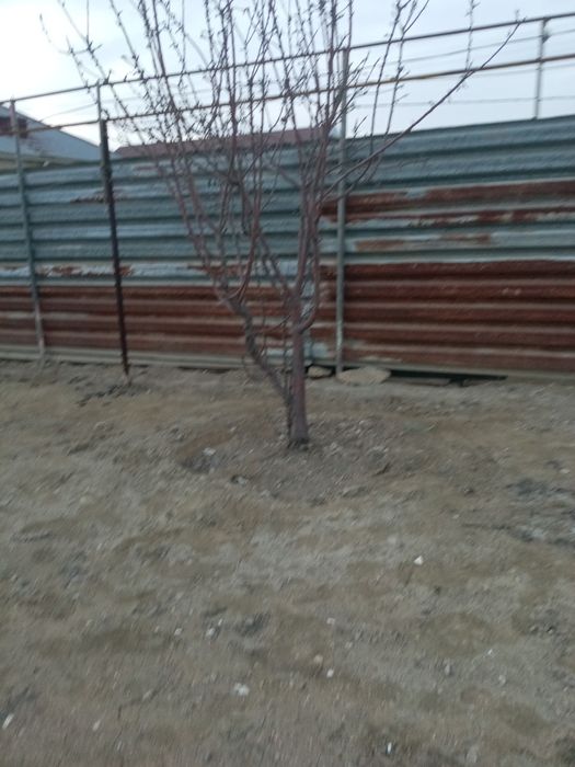 Үй сатылады маңғыстау 5