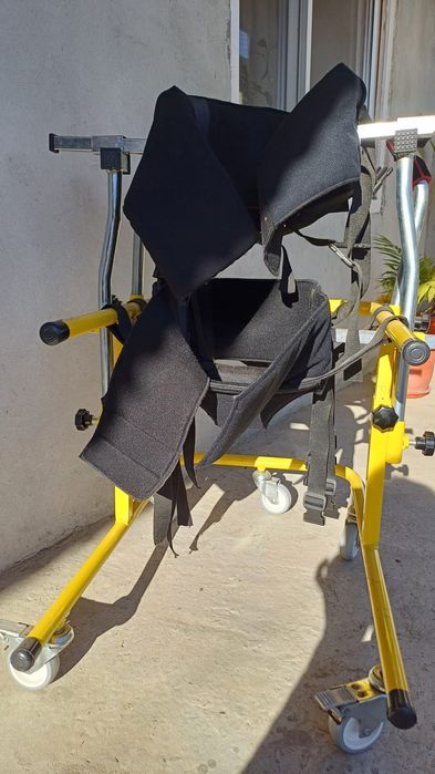 Premergător copii cu nevoie speciale