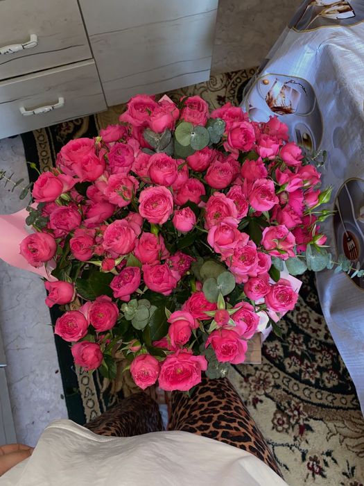 Гүлл солмаған бүгін келген