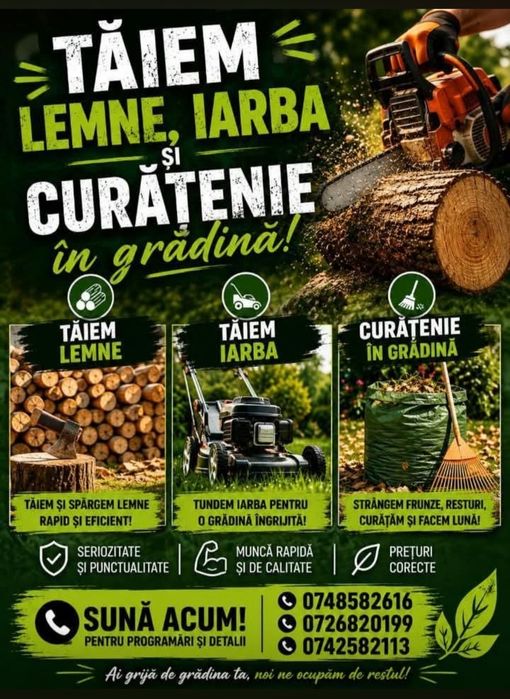 Tăiem lemne cu drujba, crăpăm,clădim in zona Radauti
