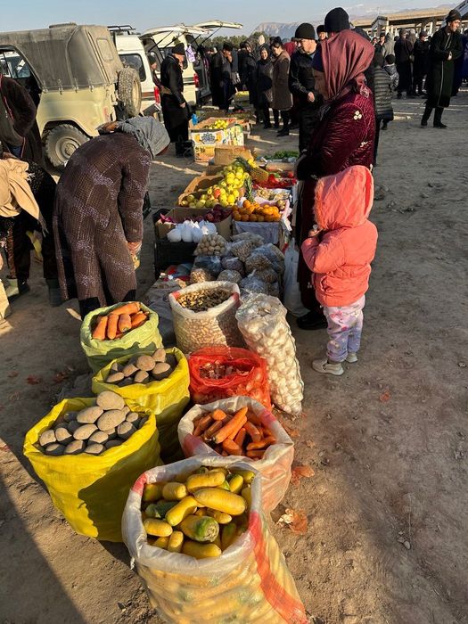 Mol bozori va qoshimcha ferma va tovuqxonalar bir joyda sotiladi.