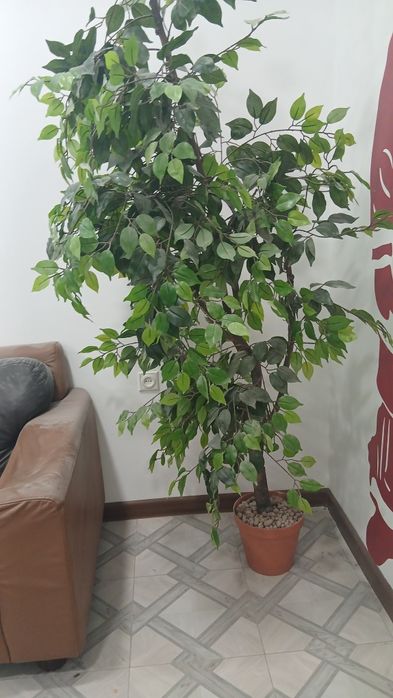 Продам мебель в личку!