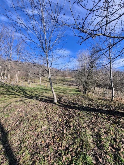 Teren cu casă Cernișoara 1750mp