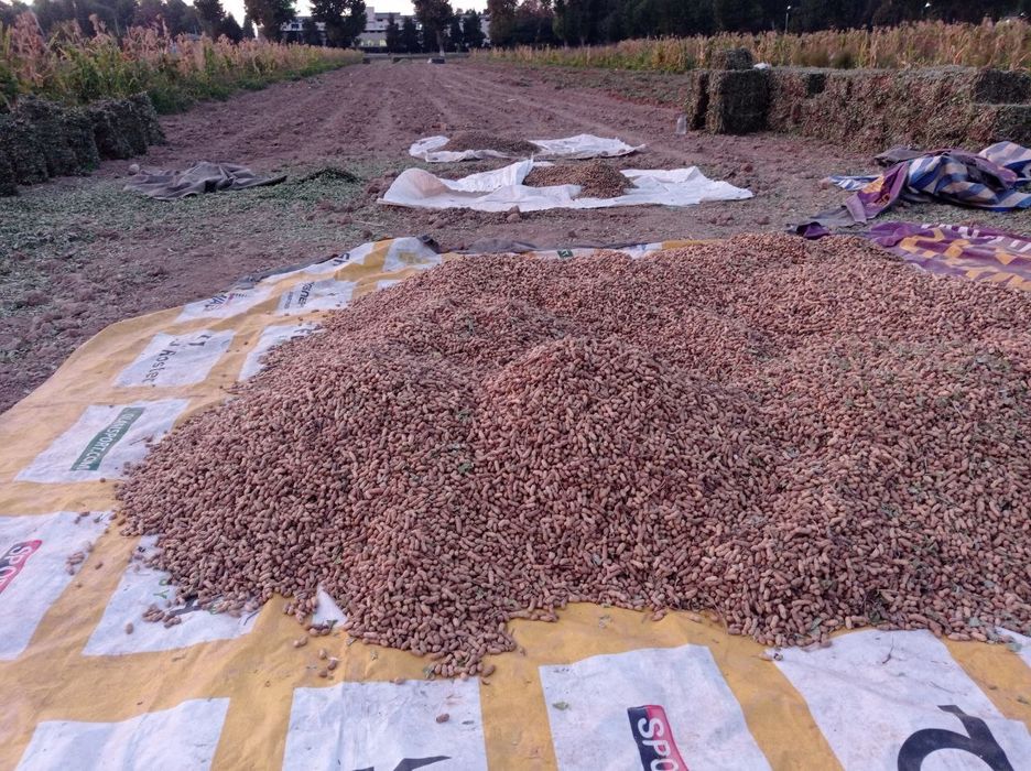 Yeryong'oq presi sotiladi kelishamiz