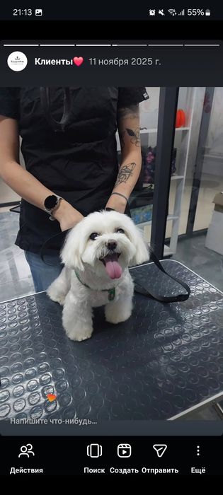 Груминг за 5000 тенге