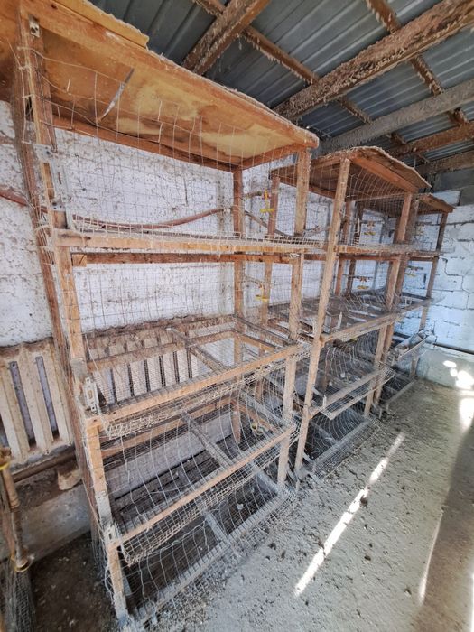 Тауыққа сетка бар сатылатын