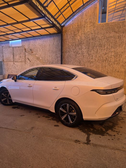 Byd Chazor 4 pazitsya 120 lik full sotiladi