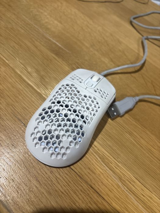 Mouse white shark alb