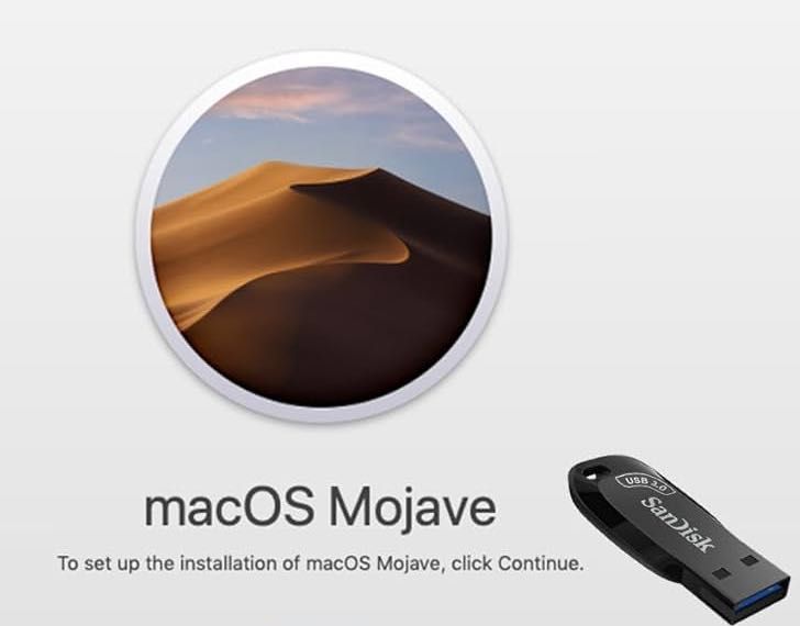 USB Stick macOS Catalina Bootable Installer Orice Versiune macOS