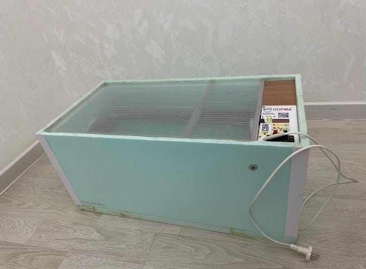 Инкубатор блиц норма