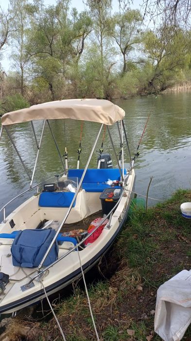 Barca cu motor Sessa mambo 430