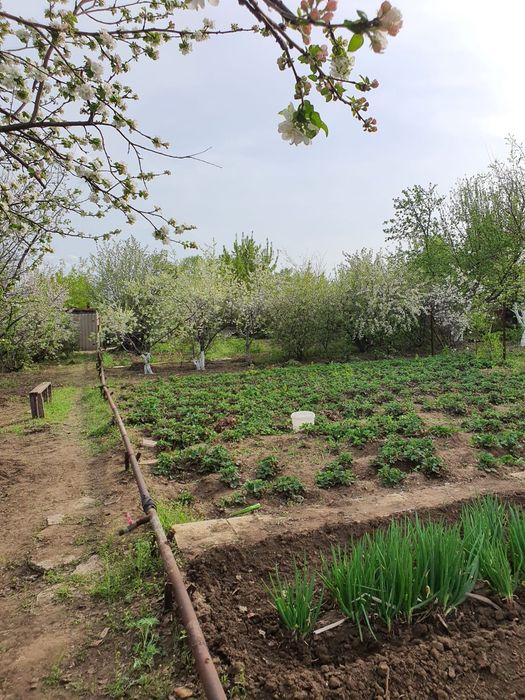 Продам дачу 10 соток с домиком