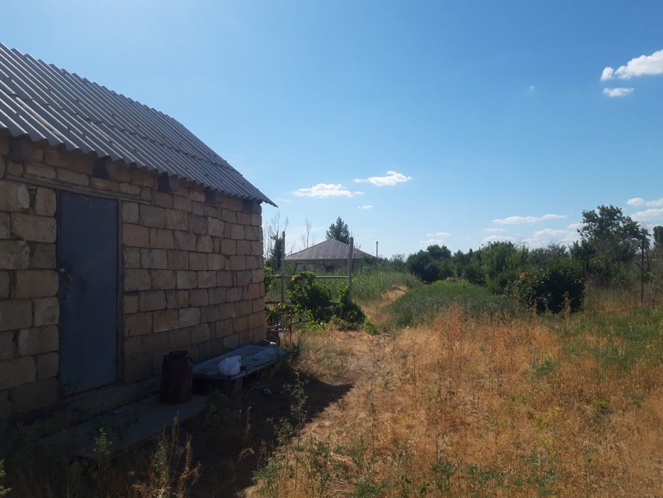 Алмалыдан Датча сатылады