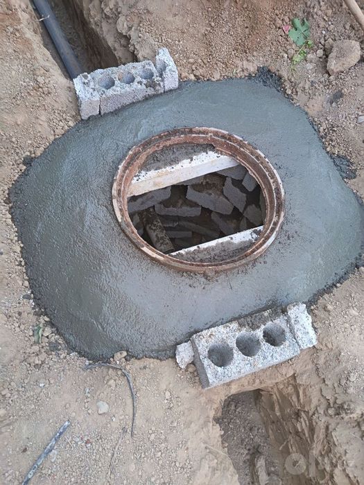 O'ra Qazimiz Toshkent Bo'ylab
