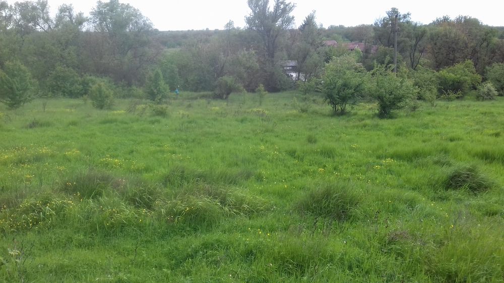Продавам си парцела в село Долно Абланово