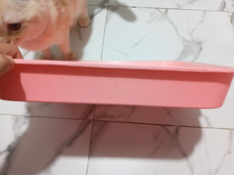 Лоток и наполнитель