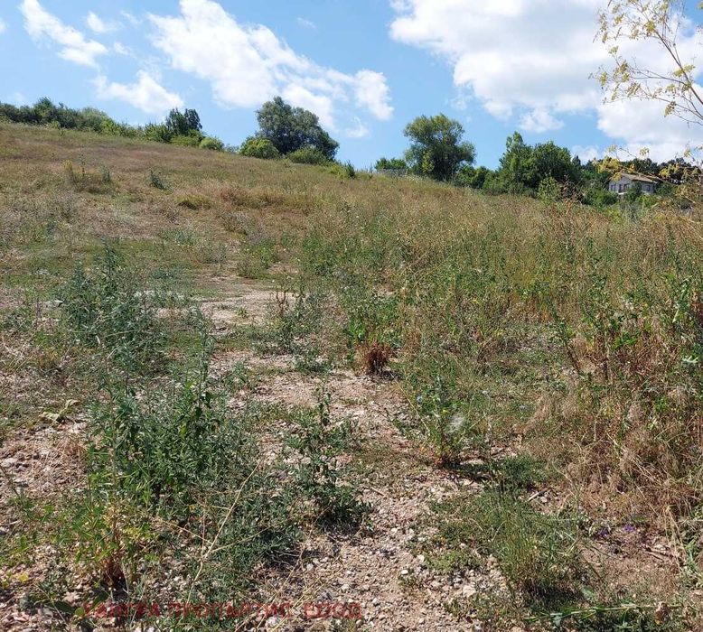 Продава се Парцел в с. Ковачевци, Област Перник - 5560 кв.м за 53 €/кв.м - Снимка #7