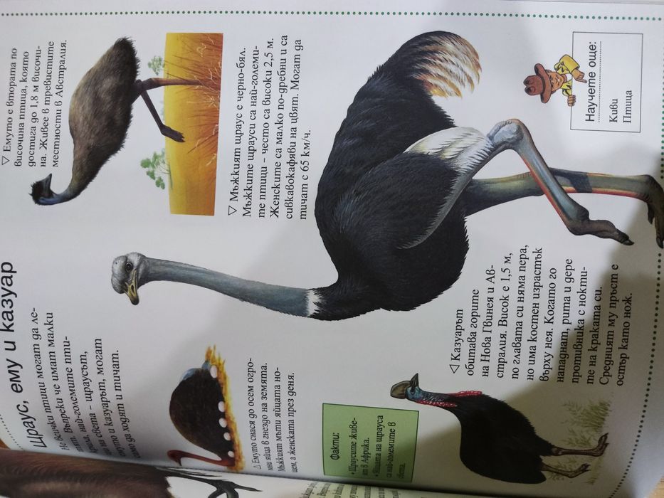 Енциклопедия на животните